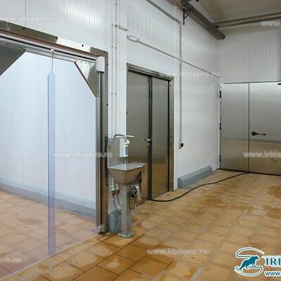 Пленочные маятниковые двери МД (Пл)