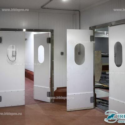 Пластиковые маятниковые двери МД (Пст-Vcam)