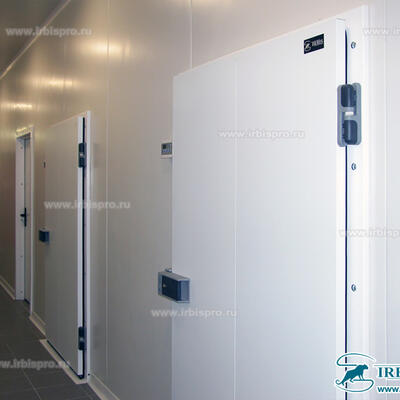 Распашные двери промышленной серии РД (Пром)