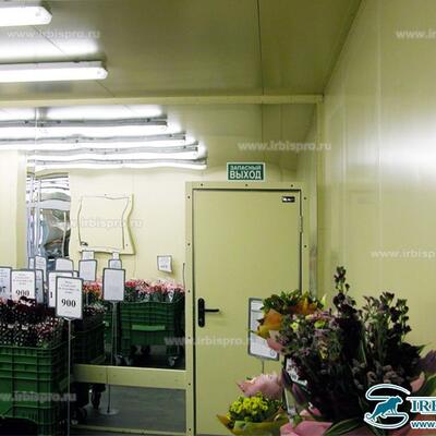 Технологические общего назначения РДОТ (ОН) / РДДТ (ОН)